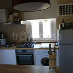 Rent 2 bedroom apartment of 50 m² in Siena