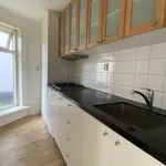 Huur 2 slaapkamer appartement van 40 m² in Hoogkerk Dorp