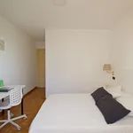 Rent 4 bedroom apartment in Madrid