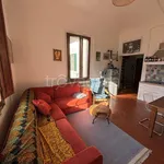 Rent 1 bedroom apartment of 50 m² in Pisa