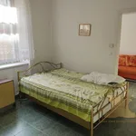 Rent 1 bedroom apartment of 36 m² in Sedlec-Prčice