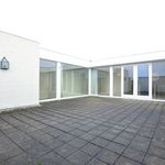 Industrieweg, Oirschot - Amsterdam Apartments for Rent