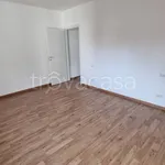 Rent 2 bedroom apartment of 50 m² in Milano