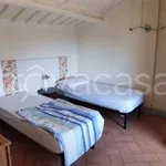 Rent 2 bedroom apartment of 50 m² in Siena