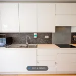 Rent 3 bedroom house in Brighton