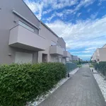 Rent 2 bedroom apartment of 50 m² in San Giovanni Lupatoto