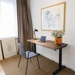 Rent 2 bedroom apartment in brussels