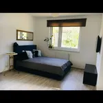 Rent 1 bedroom apartment of 35 m² in Prague