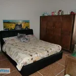 Rent 2 bedroom apartment of 55 m² in Bologna