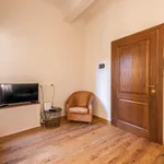 Rent 1 bedroom apartment in Florence