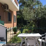 Rent 3 bedroom apartment of 50 m² in Terracina