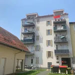 Rent 2 bedroom apartment of 42 m² in Graz