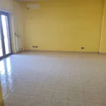 Rent 4 bedroom apartment of 120 m² in Roma