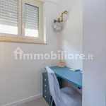 Rent 3 bedroom apartment of 80 m² in Turin