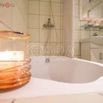 Rent 2 bedroom apartment of 38 m² in Praha