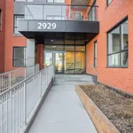 Rent 1 bedroom apartment in Montreal