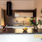 Rent 1 bedroom apartment of 35 m² in Ostrava