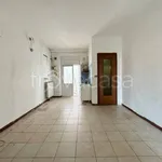 Rent 2 bedroom apartment of 60 m² in Torino