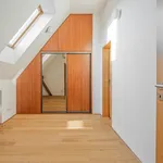 Rent 5 bedroom apartment of 146 m² in Prague