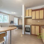 Rent 1 bedroom apartment of 45 m² in Strančice