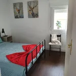 Alquilar 2 dormitorio apartamento en Madrid