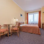 Rent 1 bedroom apartment in Prague