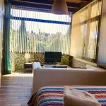 Studio of 45 m² in granada