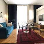 Rent 1 bedroom apartment of 35 m² in Roma