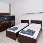 Rent 1 bedroom apartment of 37 m² in Brno