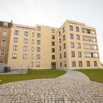 Miete 3 Schlafzimmer wohnung von 83 m² in Dresden