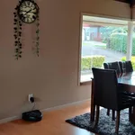 Rent 3 bedroom house in New Plymouth