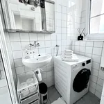 Rent 1 bedroom apartment in Prague