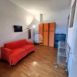 Rent 1 bedroom apartment of 30 m² in Milan