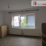 Pronajměte si 2 ložnic/e byt o rozloze 65 m² v Praha