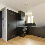 Huur 1 slaapkamer appartement van 19 m² in Middelland