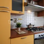 Rent 2 bedroom apartment of 75 m² in Bologna