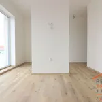 Rent 1 bedroom house of 420 m² in Vřesovice