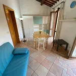 Rent 2 bedroom apartment of 50 m² in Perugia