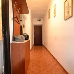 Rent 2 bedroom apartment of 55 m² in Timisoara