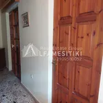 Rent 2 bedroom house of 65 m² in Kalivia Thorikou Galazia Akti