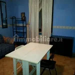 Rent 1 bedroom apartment of 31 m² in Alessandria