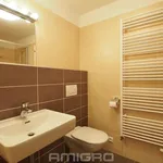 Rent 2 bedroom apartment in Brno