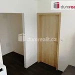 Pronajměte si 1 ložnic/e byt o rozloze 29 m² v Dolní Benešov