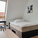 Rent 1 bedroom apartment of 50 m² in berlin