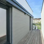 Rent 4 bedroom house of 214 m² in Capital City of Prague