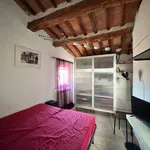 Rent 2 bedroom apartment of 28 m² in Siena