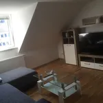 Rent 2 bedroom apartment of 42 m² in Wolfsburg