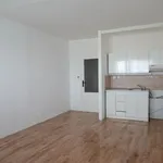 Rent 1 bedroom apartment in Ostrava