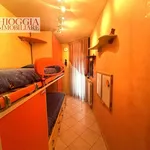 Rent 3 bedroom apartment of 65 m² in Chioggia