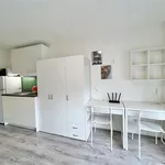 Rent 1 bedroom apartment in Brno